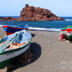 El Roque Fórum Drago