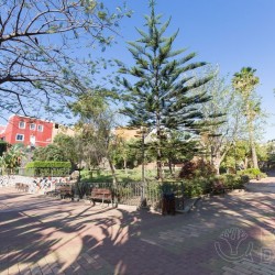 Zonas verdes Ingenio