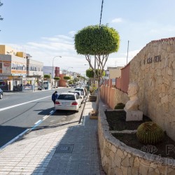 Taxistas Carrizal de Ingenio