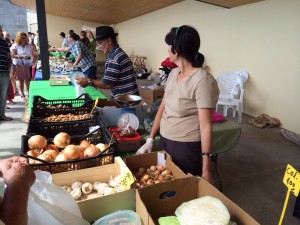 IMG-20151018-WA0050