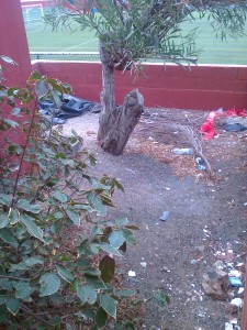 accesos y jardines antes