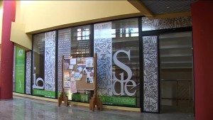 biblio_carrizal