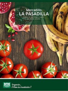 pasadilla