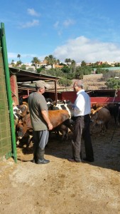 visita_parral5