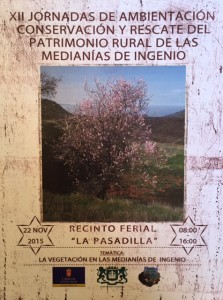 pasadilla