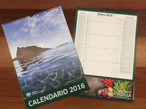 RP_Calendario1