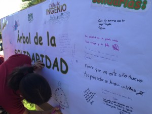 arbol_solidaridad3