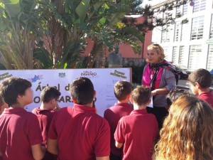 arbol_solidaridad4