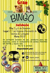 bingo_hoyeta
