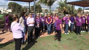 caravana_violeta3