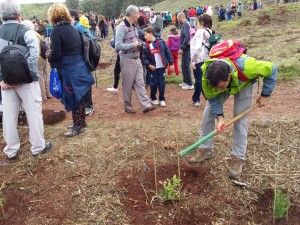 dia_arbol3