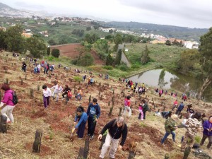 dia_arbol6