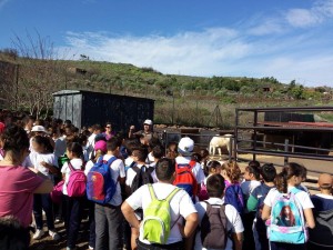 educacion_ambiental2
