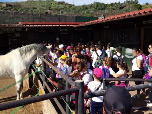 educacion_ambiental3