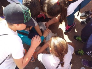 educacion_ambiental6