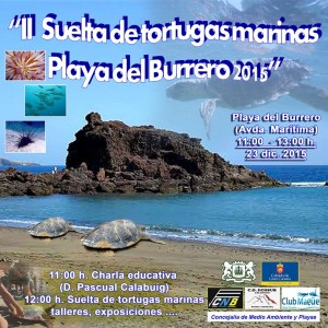 tortuga1
