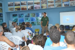 tortugas1