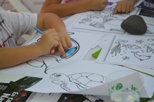 tortugas5