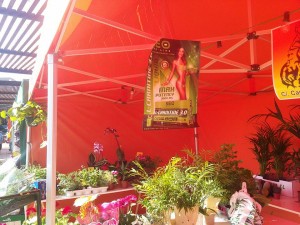 dinamizacion16