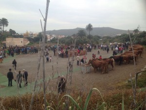 IMG-20160202-WA0018