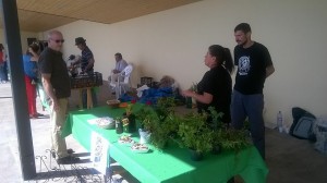 Puesto Pasadilla 3