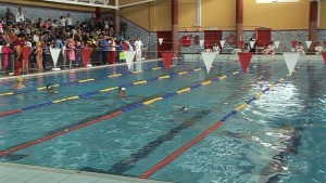 natacion1
