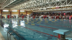 natacion2