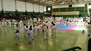 karate3