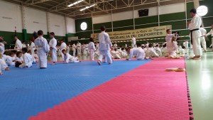 karate4