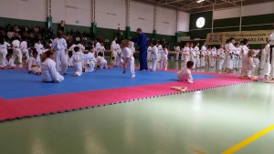 karate5