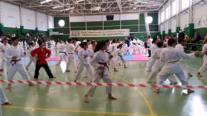 karate6