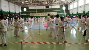 karate7