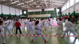karate8
