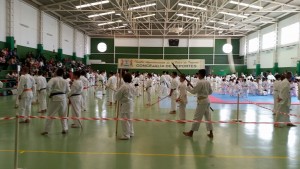 karate9