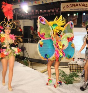 pasarela_carnaval1