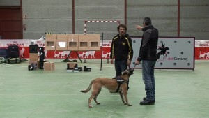 guias_caninos1