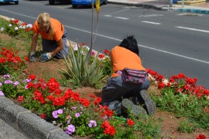 plan_empleo_ARCHIVO