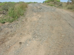camino_berlanga1