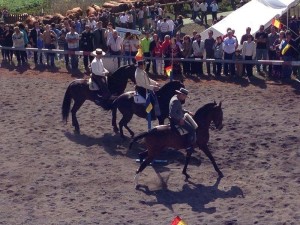 fiestas5