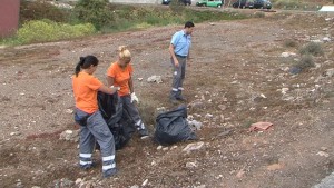 plan_empleo