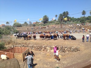 IMG-20160629-WA0004