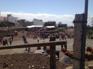 IMG-20160629-WA0010