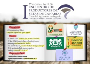 Setas