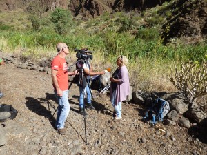 plan-empleo-guayadeque-1