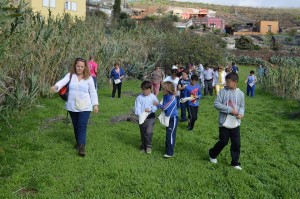 jornadas_medianias2